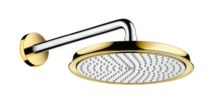 Hansgrohe Raindance horná sprcha so sprchovacím ramenom 24x24 cm okrúhly chrómová 27424090