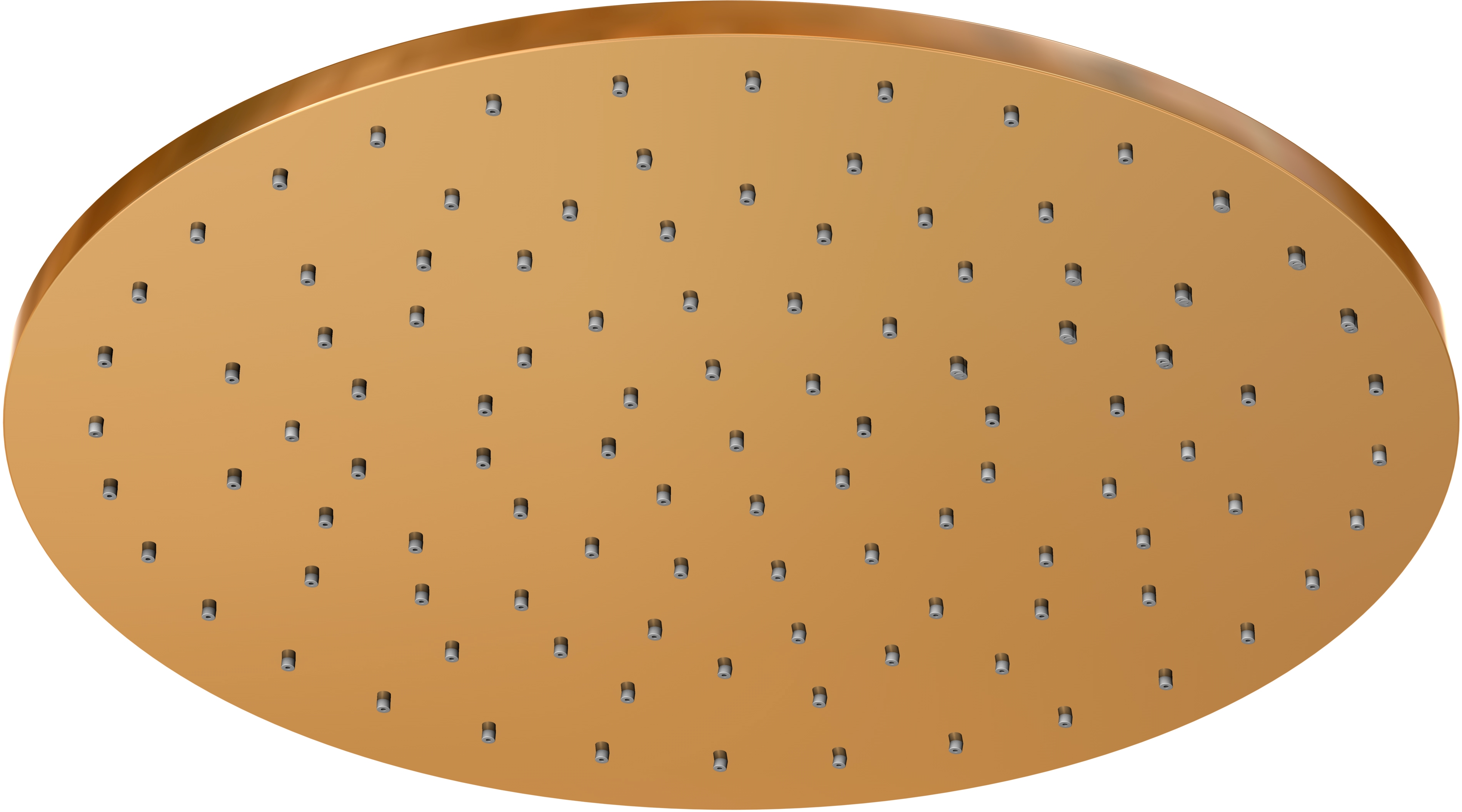 Steinberg 100 horná/hlavová sprcha 30x30 cm okrúhly || 1001688RG