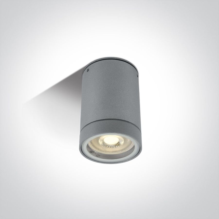 One Light exteriérové stropné svietidlo 1x35 W sivá 67130C/G