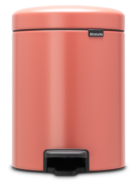 Brabantia NewIcon odpadkový kôš 5 l 304309