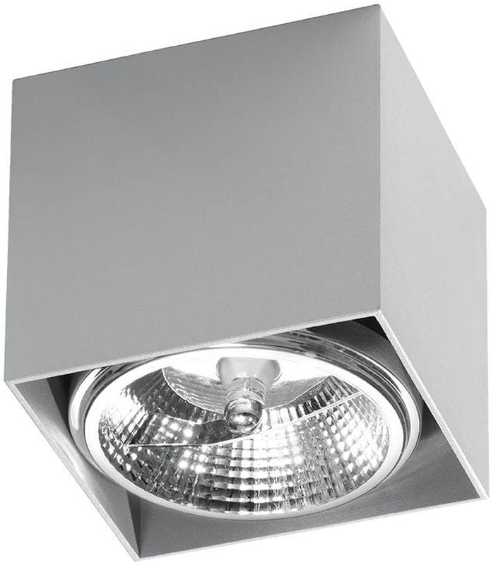Sollux Lighting Blake stropné svietidlo 1x40 W sivá SL.0699
