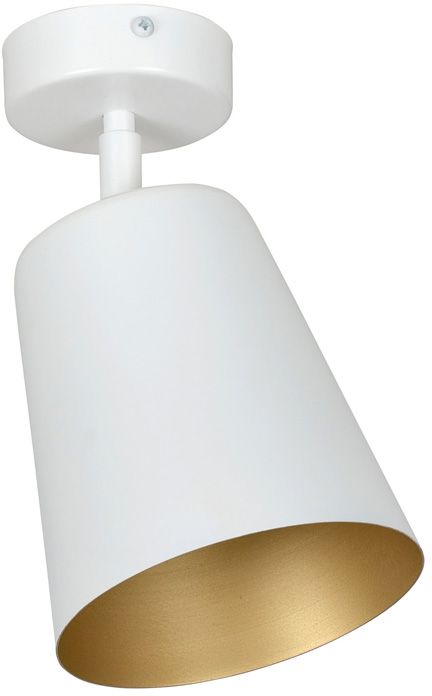 Emibig Prism stropné svietidlo 1x60 W biela-zlatá 407/1
