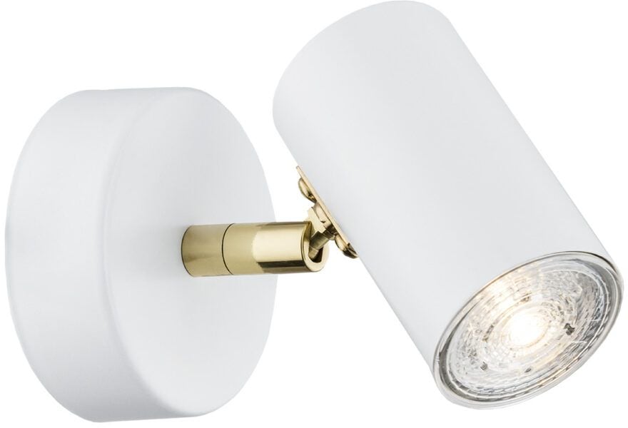 Argon Lagos nástenná lampa 1x5 W biela-mosadzná 4209