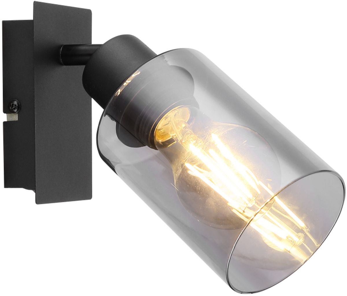 Globo Lighting Hadera nástenná lampa 1x15 W čierna-dymová 15465-1