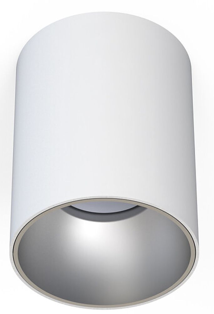 Nowodvorski Lighting Eye Tone stropné svietidlo 1x10 W biela-strieborná 8928