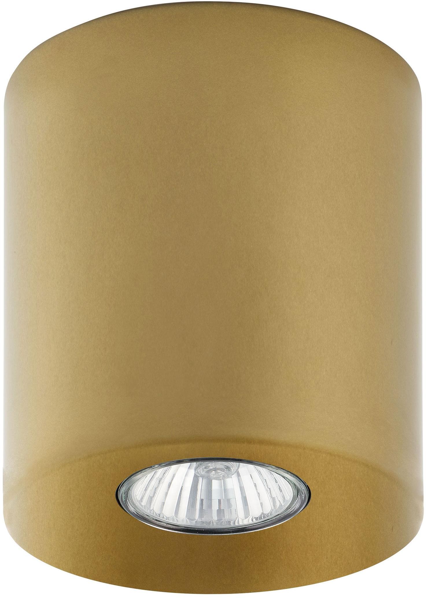 TK Lighting Orion stropné svietidlo 1x10 W zlatá 3198