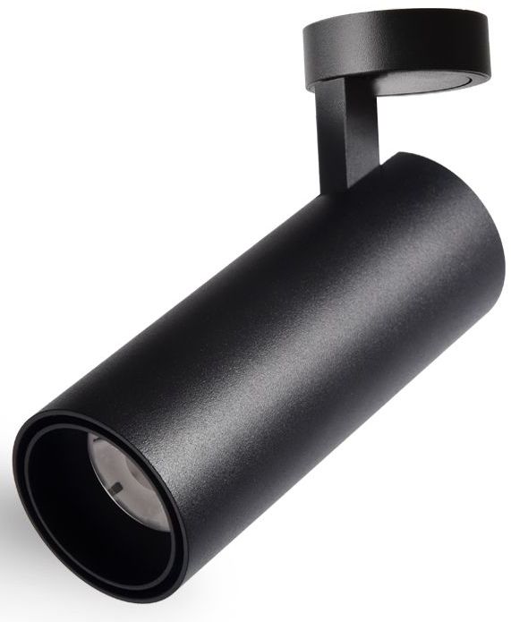 Abigali Commercial stropné svietidlo 1x12 W čierna LWQT-B-12-24WW-DIM