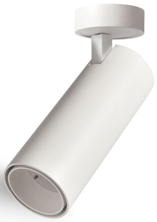 Abigali Posh stropné svietidlo 1x12 W biela LWQT-W-12-24WW