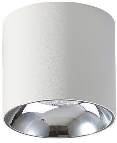 Abigali Vaiolett stropné svietidlo 1x10 W biela DL10W-WW