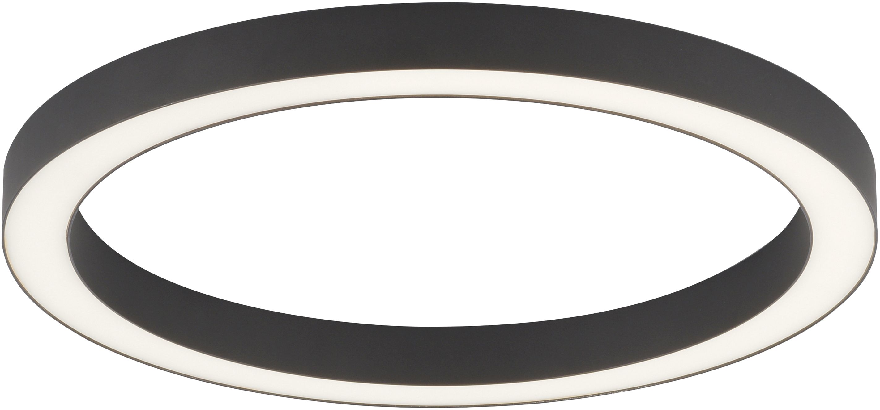 Paul Neuhaus Pure-Lines stropné svietidlo 1x30 W sivá 6309-13