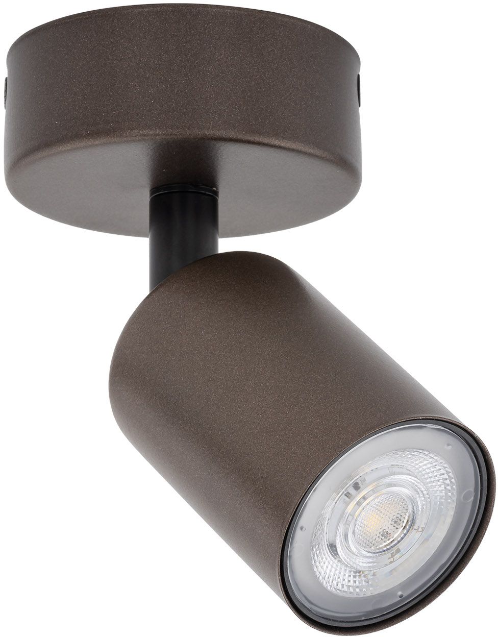 TK Lighting Top stropné svietidlo 1x10 W hnedá 5957
