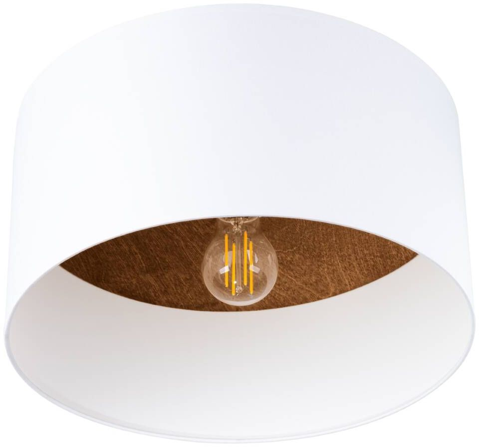 Sollux Lighting Telesto stropné svietidlo 1x15 W biela-hnedá SL.1392