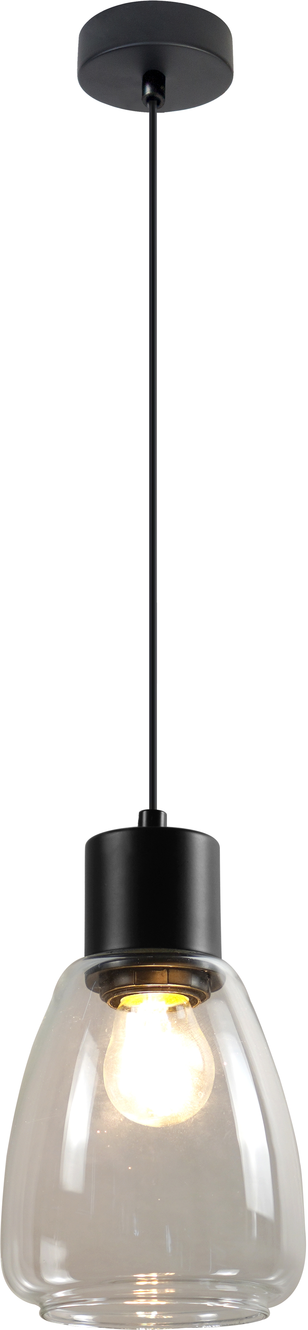 Candellux Moldo závesné svietidlo 1x40 W čierna-priehľadná 31-35066