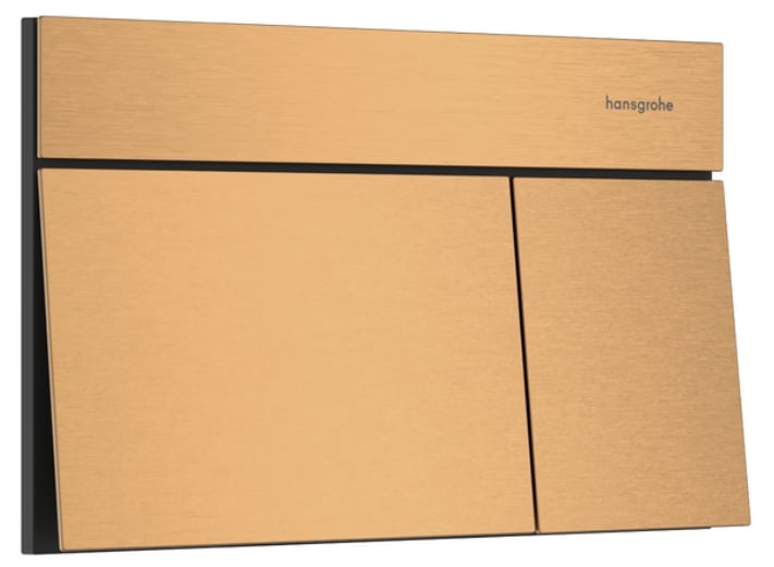 Hansgrohe Element E splachovacie tlačidlo do toalety || 66003140
