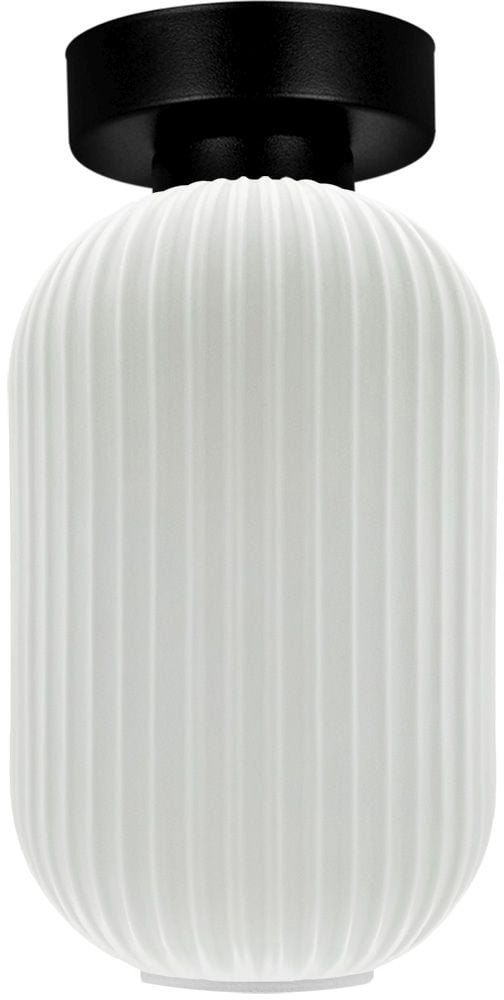 Kaja Vilar stropné svietidlo 1x15 W biela-čierna K-5732