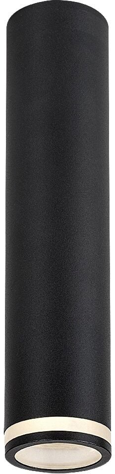 Rabalux Senobia stropné svietidlo 1x35 W čierna 73031