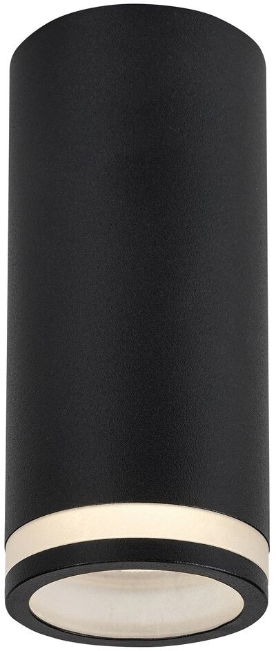 Rabalux Senobia stropné svietidlo 1x35 W čierna 73030