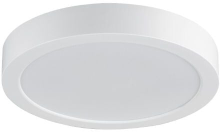 Rabalux Shaun Plus vonkajšia stropná lampa 1x24 W biela 75072