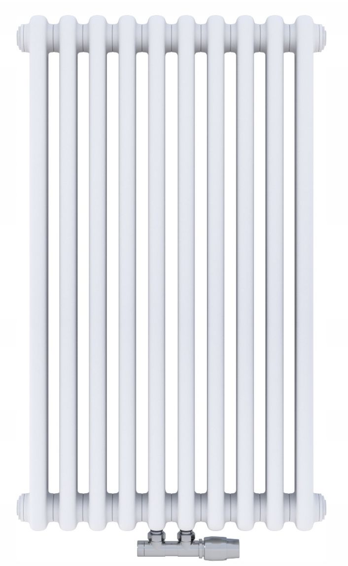 Irsap Tesi 2 ohrievač do miestnosti 45x90 cm podłączenie dolné biela IRS-TES-2090-10-B-50