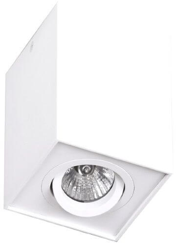 MaxLight Basic stropné svietidlo 1x50 W biela C0070