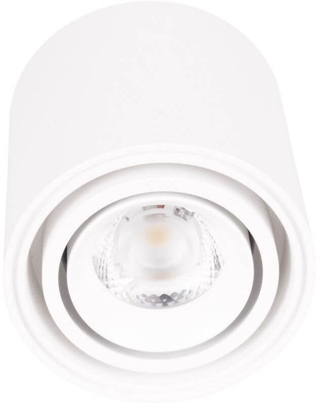 MaxLight Fix stropné svietidlo 1x6 W biela C0256