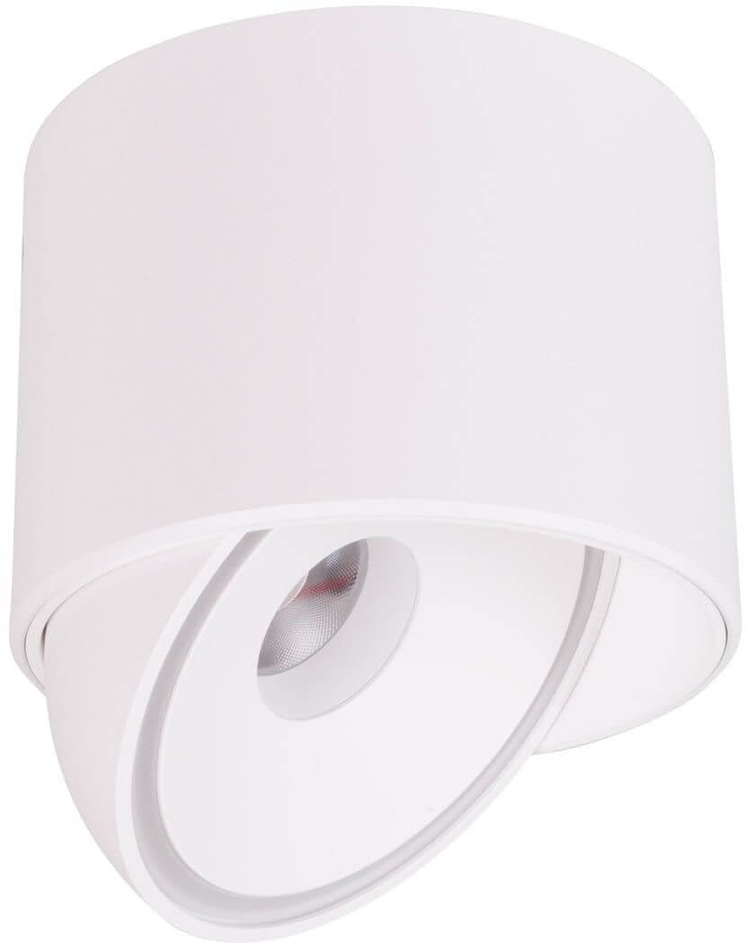 MaxLight Vector stropné svietidlo 1x10 W biela C0265