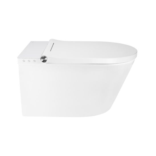 Súprava umývacia toaleta Oltens SmartFrisk 42038000, podomietková konštrukcia Oltens Triberg 50001000, 59019000