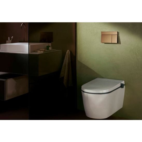 Súprava WC misa s pomaly sa sklápajúcim sedadlom Hansgrohe EluPura Q 60293450, splachovacie tlačidlo Hansgrohe Element E 66003140, 01022180