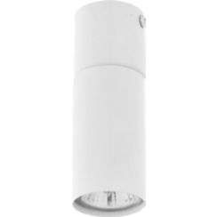 TK Lighting Logan stropné svietidlo 1x10 W biela 4421