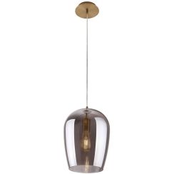 MaxLight Zimba závesné svietidlo 1x60 W mosadzná P0301