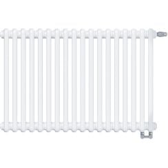 Irsap Tesi 2 ohrievač do miestnosti 56.5x81 cm podłączenie dolné biela IRS-TES-2056-18-B-25