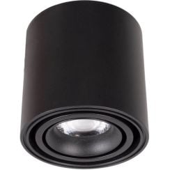 MaxLight Fix stropné svietidlo 1x6 W čierna C0257