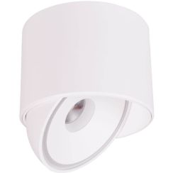MaxLight Vector stropné svietidlo 1x10 W biela C0265